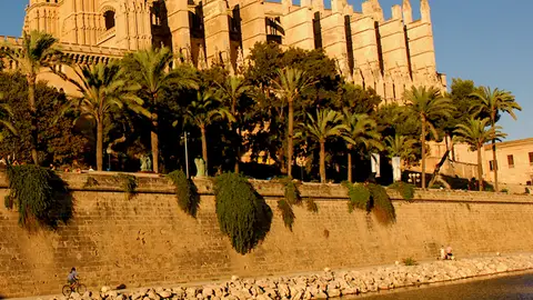 Catedral de Palma Catedral de Palma