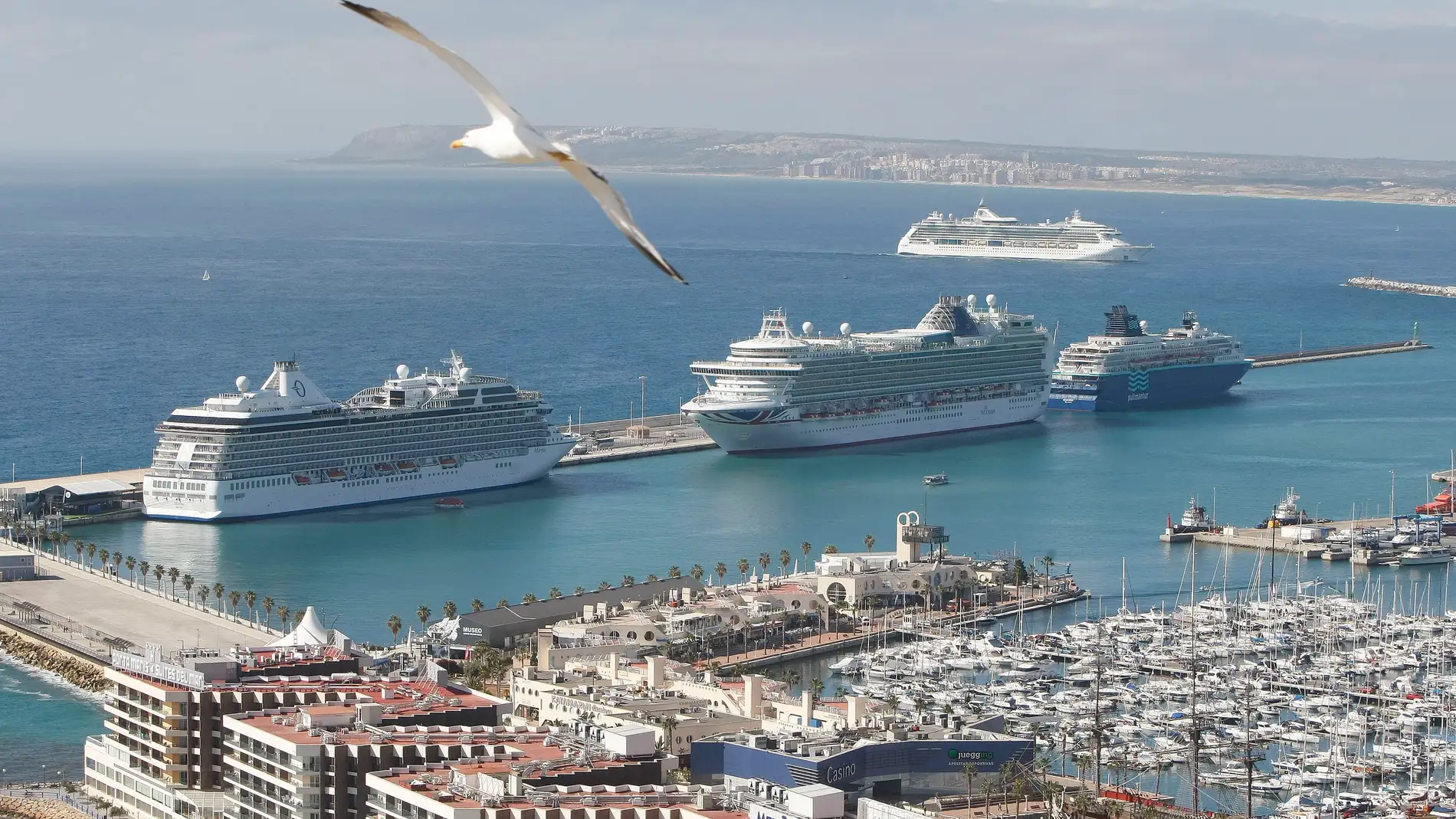 Cruceros en Alicante (imagen de archivo)