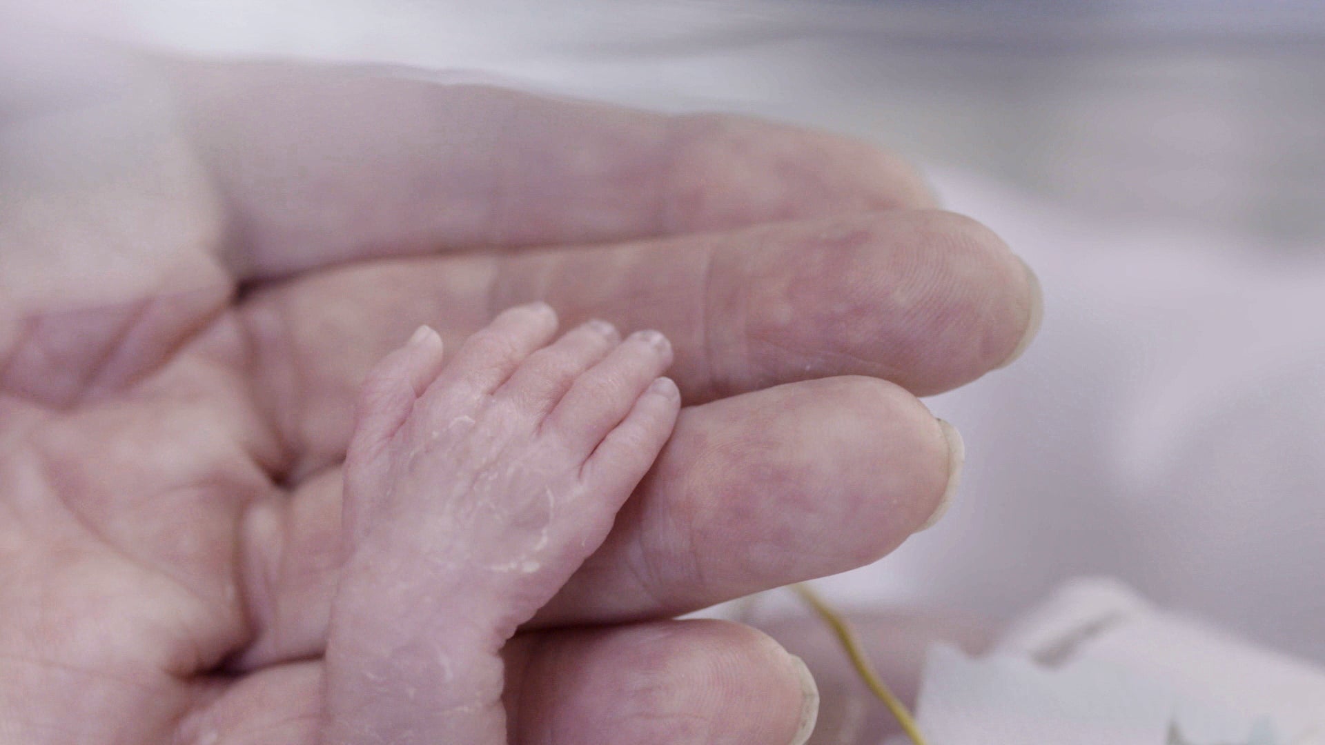 Sandra Arzoz: "Es una exposición de historias a flor de piel" Sandra Arzoz: "Es una exposición de historias a flor de piel"