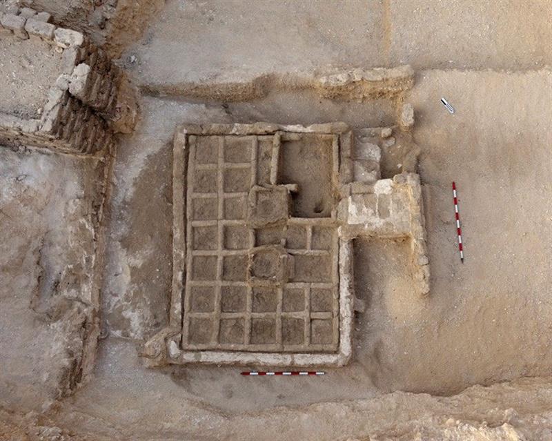 Hallado un jardín funerario en Egipto con semillas intactas de hace 4.000 años Hallado un jardín funerario en Egipto con semillas intactas de hace 4.000 años
