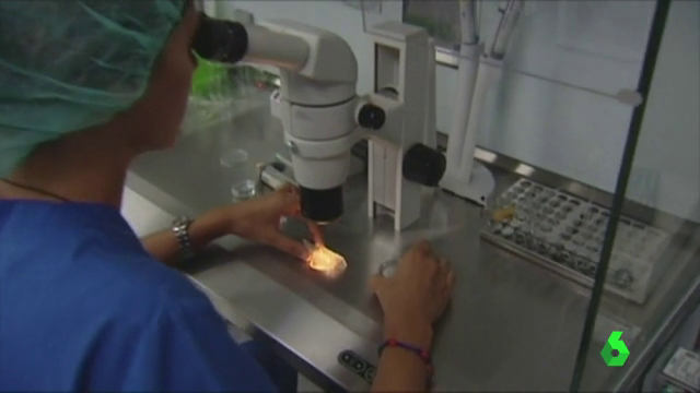 La Brújula de la Rioja 20/04/2020 La Brújula de la Rioja 20/04/2020