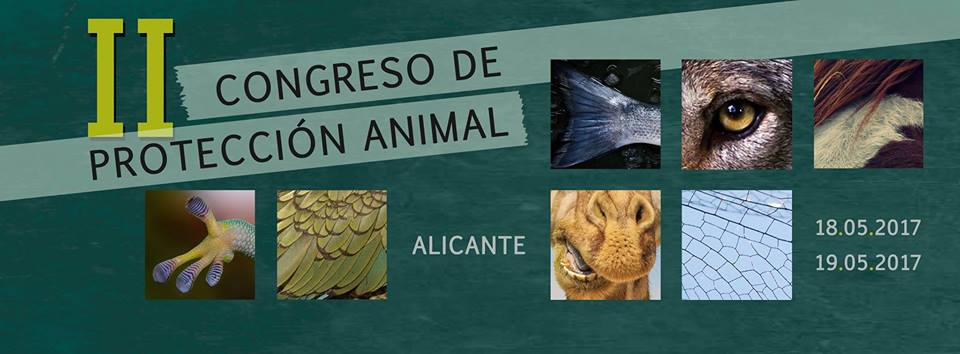 La semana alicantina más animal del año La semana alicantina más animal del año