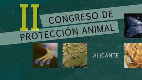 II Congreso de Protecci&oacute;n Animal en Alicante