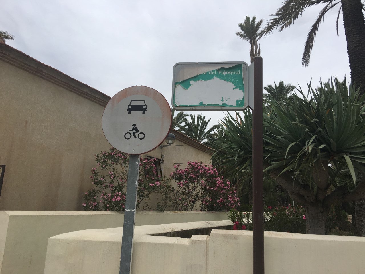 El PP insta mejorar el mantenimiento de la ruta del Palmeral El PP insta mejorar el mantenimiento de la ruta del Palmeral
