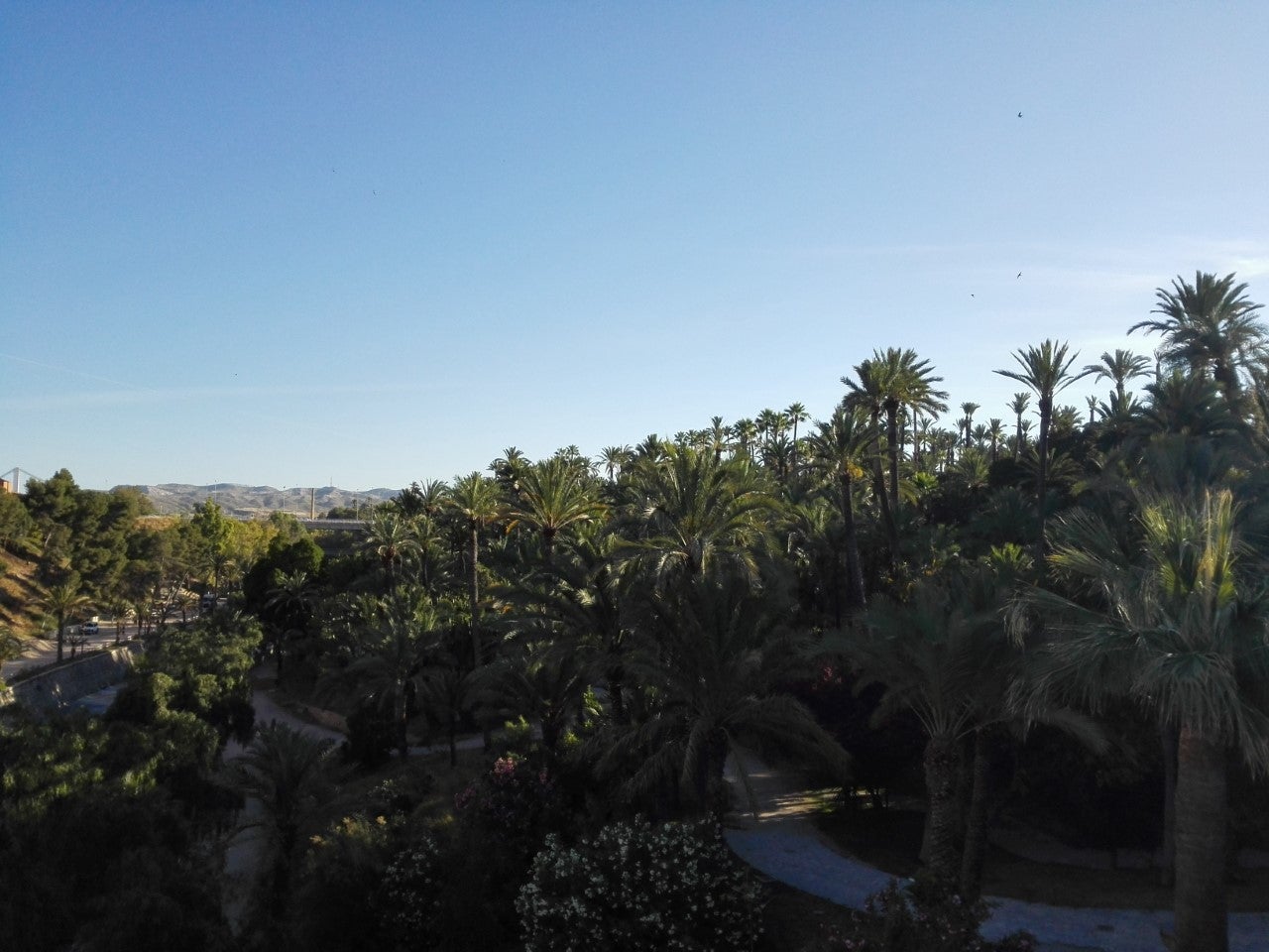 La semana comienza en Elche, Crevillent y Santa Pola con las temperaturas máximas en descenso La semana comienza en Elche, Crevillent y Santa Pola con las temperaturas máximas en descenso