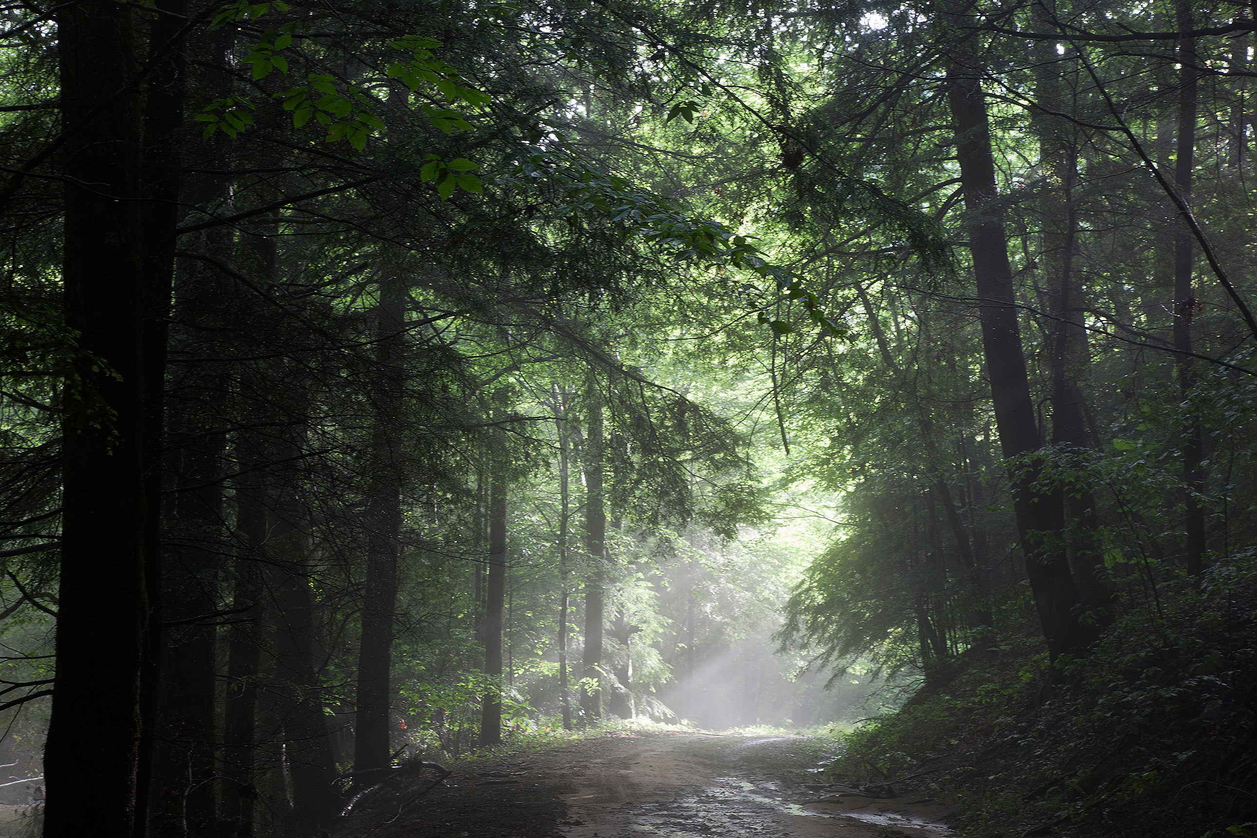 Un audio nos lleva a destapar una gran exclusiva periodística Un audio nos lleva a destapar una gran exclusiva periodística