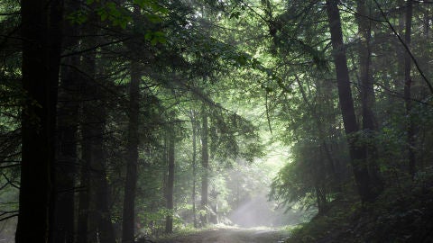 Apalaches, Kentucky (EEUU)