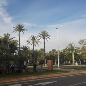 Elche.