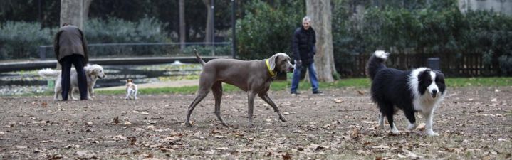 Què et sembla que es prohibeixi l’entrada dels gossos als parcs públics?