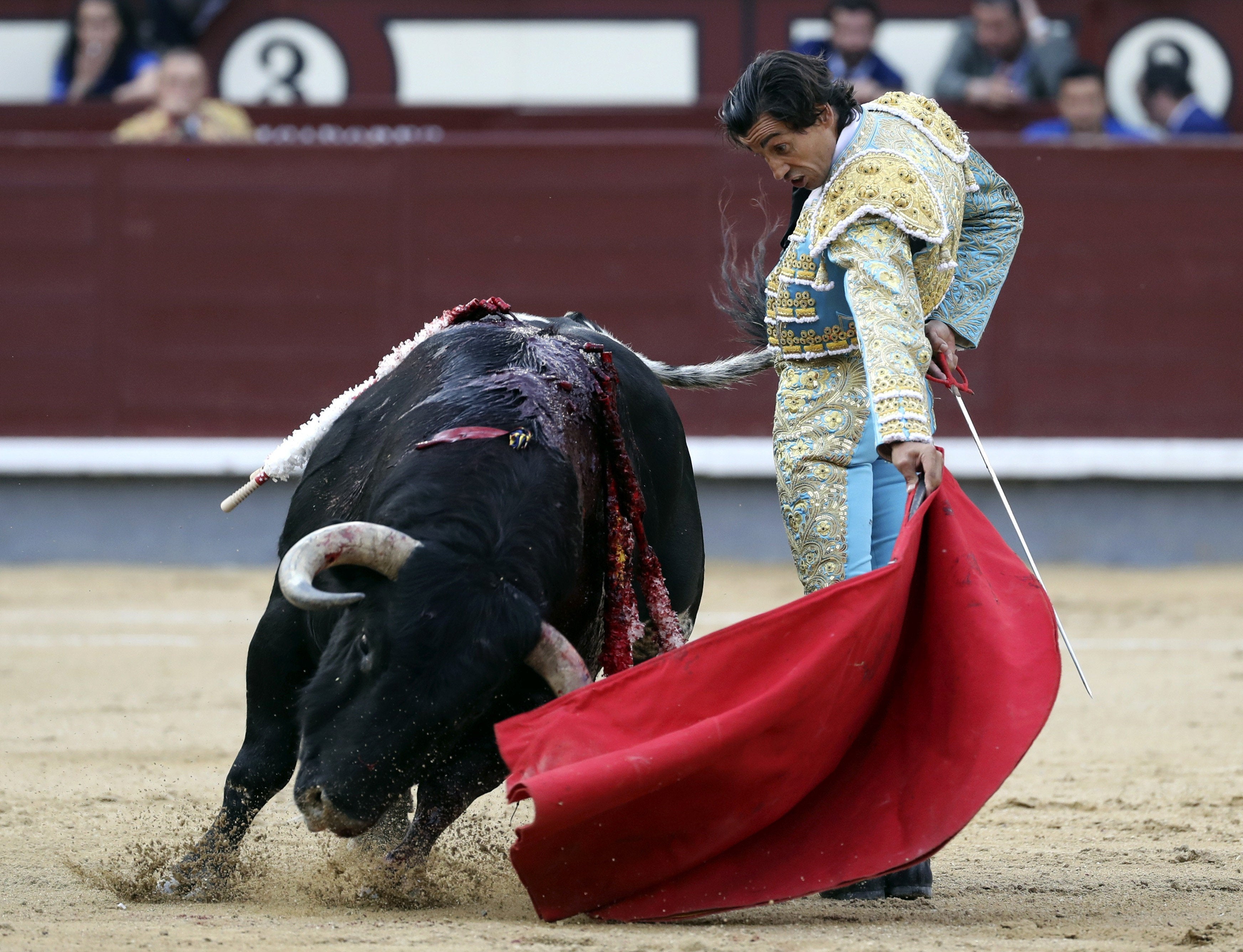 La Asamblea de Madrid rechaza prohibir la entrada a menores de 18 a los toros La Asamblea de Madrid rechaza prohibir la entrada a menores de 18 a los toros