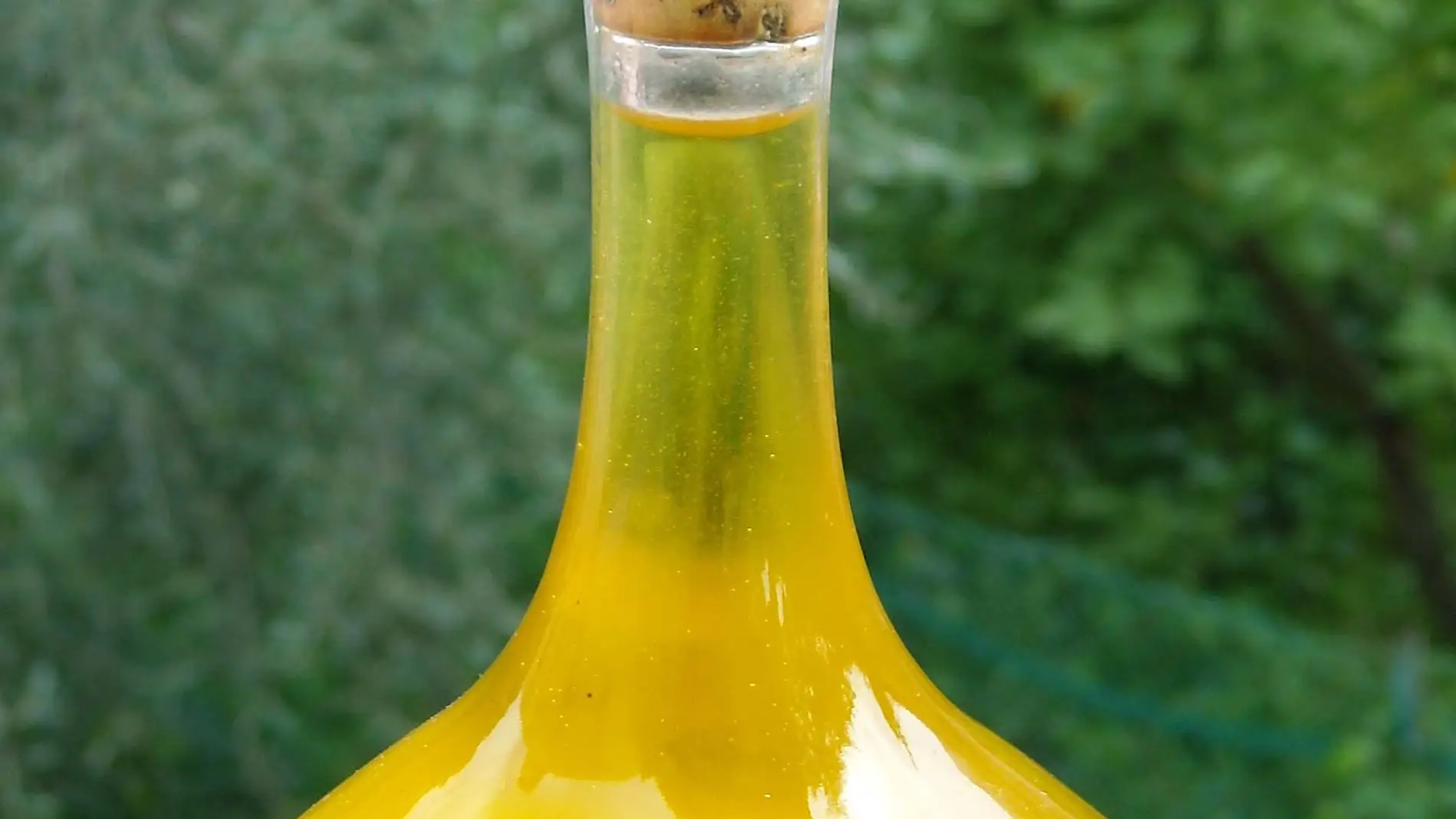 Tecnicas basadas en ADN para detectar aceite de oliva adulterado