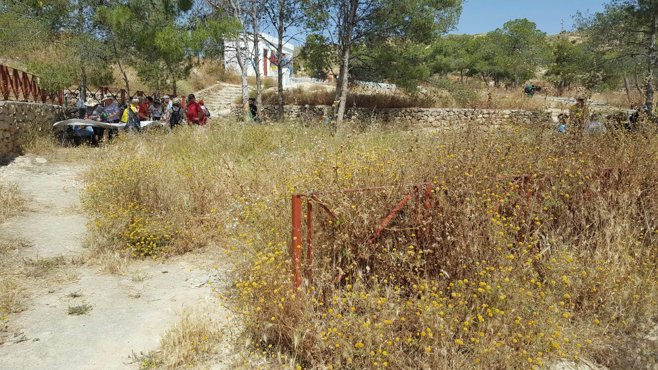 Ciudadanos Elche pide la limpieza del merendero del Pantano Ciudadanos Elche pide la limpieza del merendero del Pantano