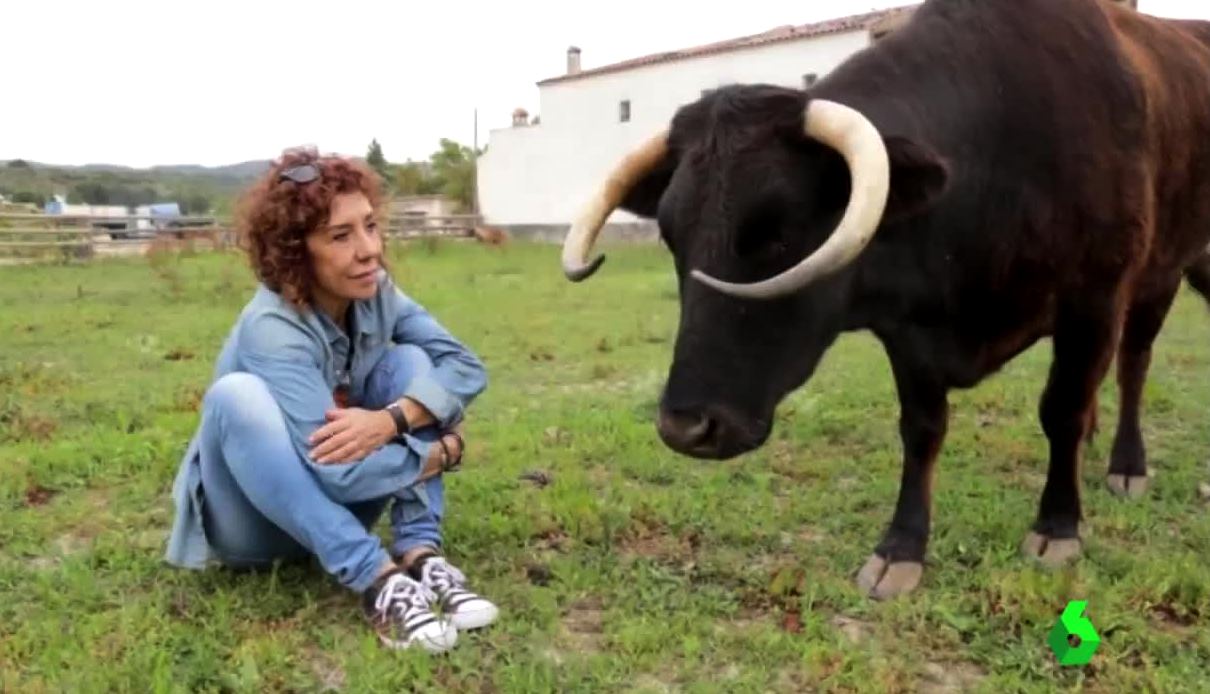 La vaca Margarita conocerá su sentencia final La vaca Margarita conocerá su sentencia final