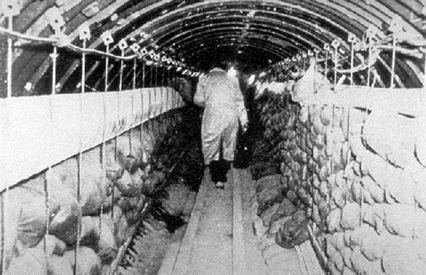 La Cultureta 3x36: "Construimos un túnel bajo el muro de Berlín, pero Kennedy se terminó enterando" La Cultureta 3x36: "Construimos un túnel bajo el muro de Berlín, pero Kennedy se terminó enterando"