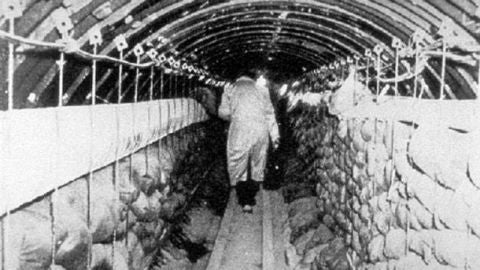 Im&aacute;genes del T&uacute;nel bajo el Muro de Berl&iacute;n