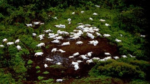 Imagen del Lago Nyos 1986