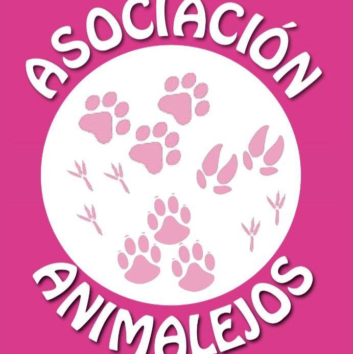 La desesperación de la protectora Animalejos: '¿Qué estamos haciendo mal?' La desesperación de la protectora Animalejos: '¿Qué estamos haciendo mal?'