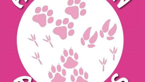 Logo de la Asociaci&oacute;n Animalejos