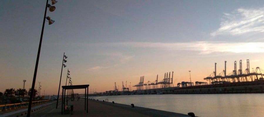 Estibadores en Algeciras Estibadores en Algeciras
