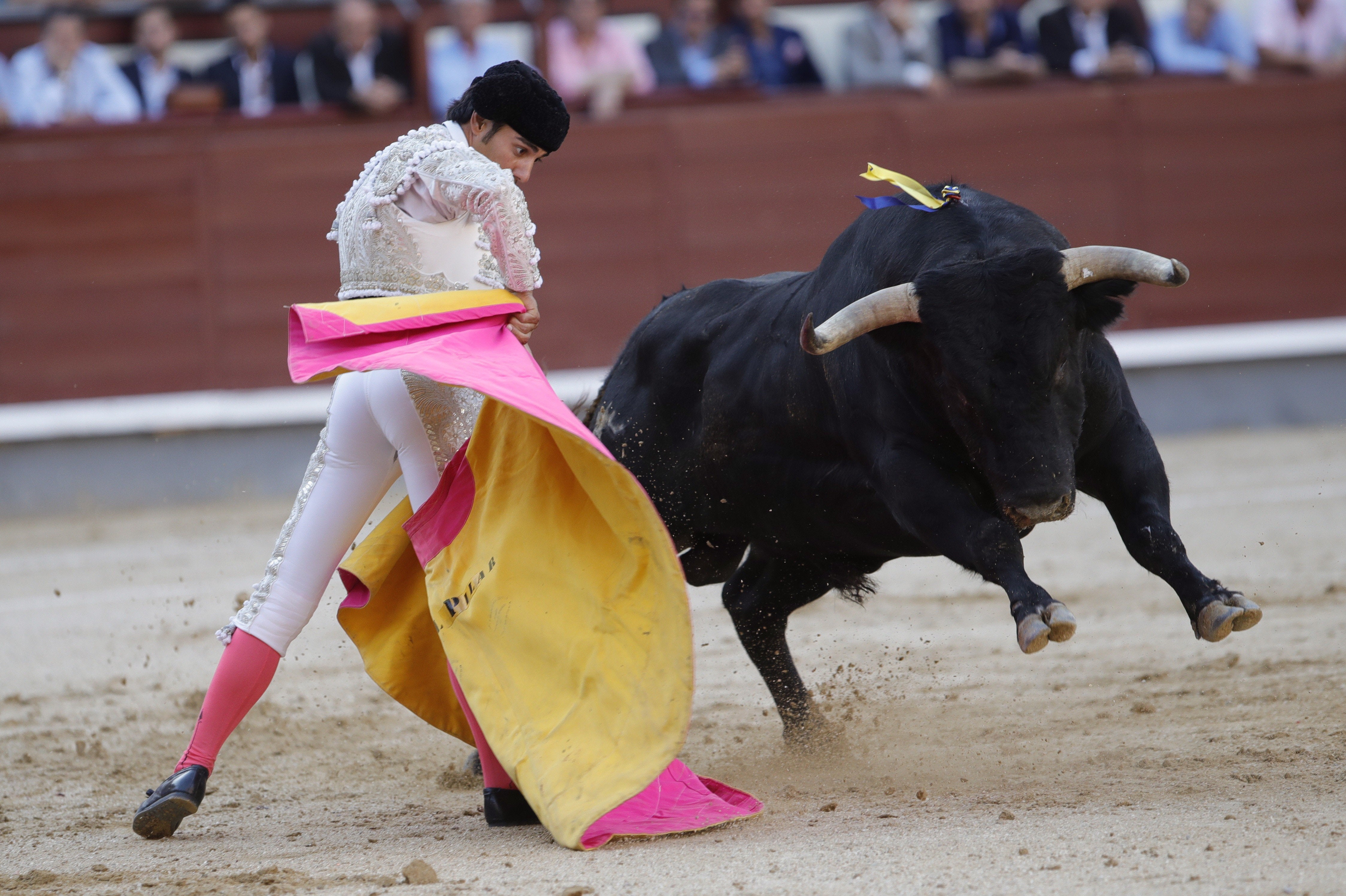 La Fundación Toro de Lidia estudia medidas contra la eliminación del premio La Fundación Toro de Lidia estudia medidas contra la eliminación del premio