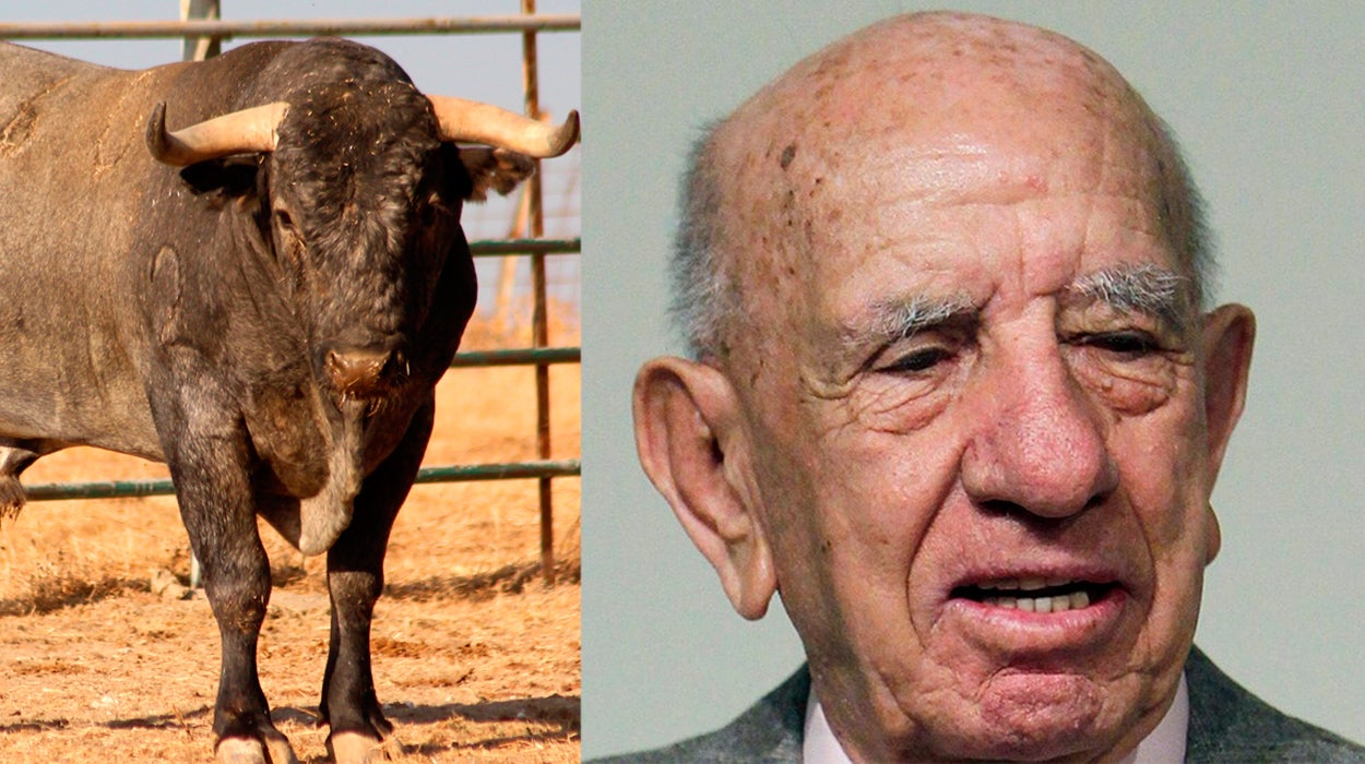 Rubén Amón indulta a Victorino Martín: "Sus toros se parecen a él, listos, bravos y despiertos" Rubén Amón indulta a Victorino Martín: "Sus toros se parecen a él, listos, bravos y despiertos"