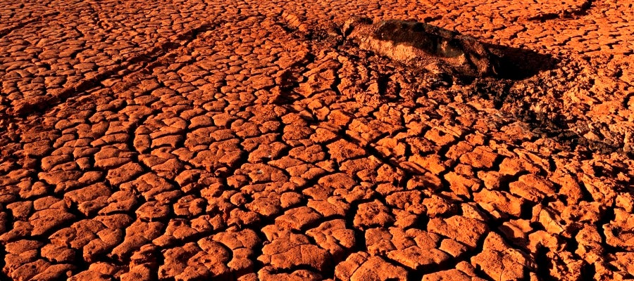 Tierra cuarteada por la sequía Tierra cuarteada por la sequía