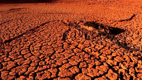Tierra cuarteada por la sequ&iacute;a