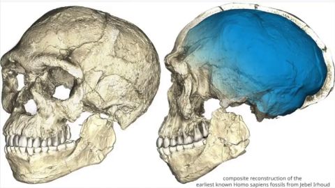 Frame 3.957333 de: Un descubrimiento que cambia el origen de los hom&iacute;nidos: hallan en Marruecos los restos del Homo Sapiens m&aacute;s antiguo del mundo