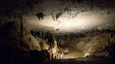 Pr&oacute;xima a la Cueva de Altamira