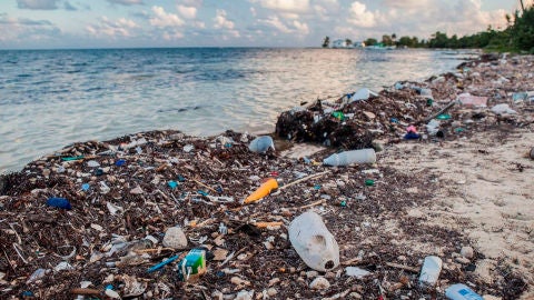 La Isla de Henderson cubierta de basura
