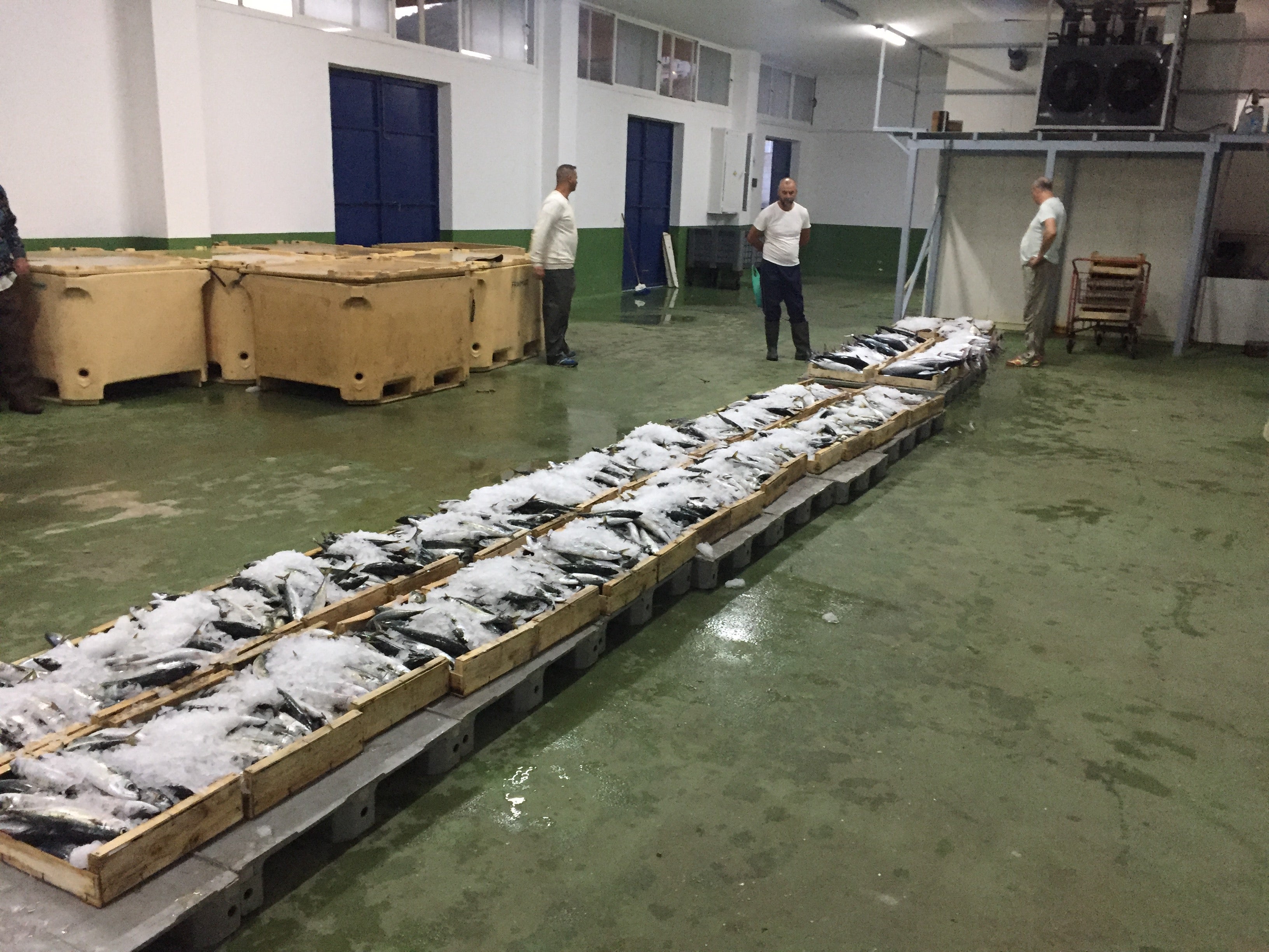 Ceuta en la Onda 09/06/17 Ceuta en la Onda 09/06/17