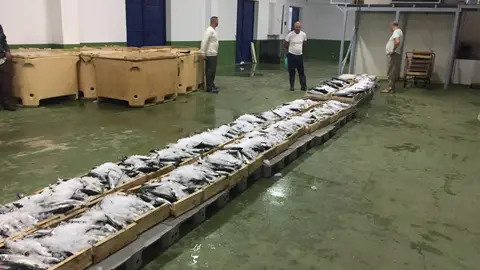 Lonja Ceuta Lonja Ceuta