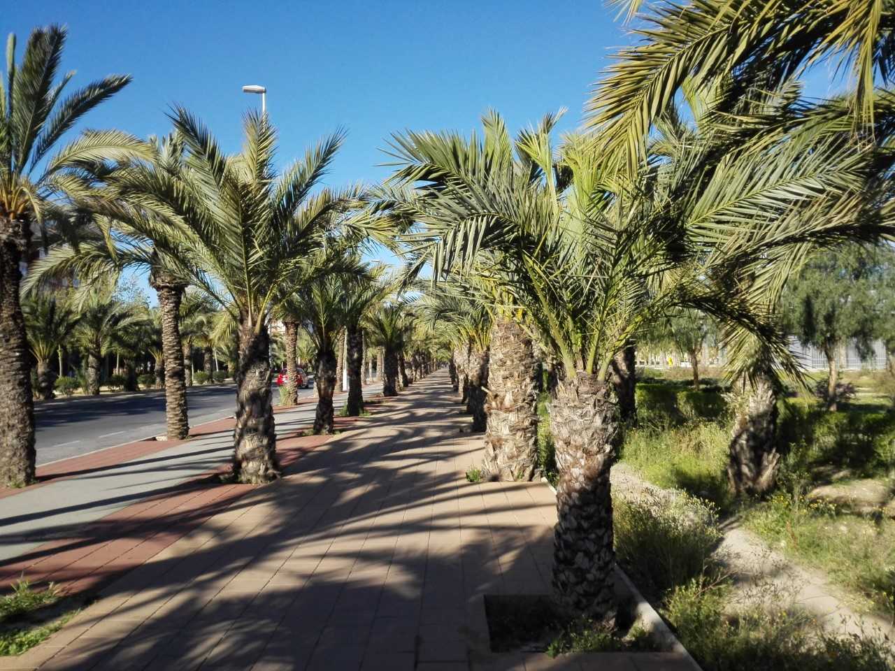 Las temperaturas en Elche, Crevillent y Santa Pola siguen sin cambios este jueves, descienden el viernes y suben el fin de semana Las temperaturas en Elche, Crevillent y Santa Pola siguen sin cambios este jueves, descienden el viernes y suben el fin de semana