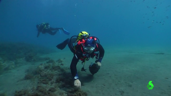 Aquí En La Onda Canarias Viernes 02/11/2018 Aquí En La Onda Canarias Viernes 02/11/2018