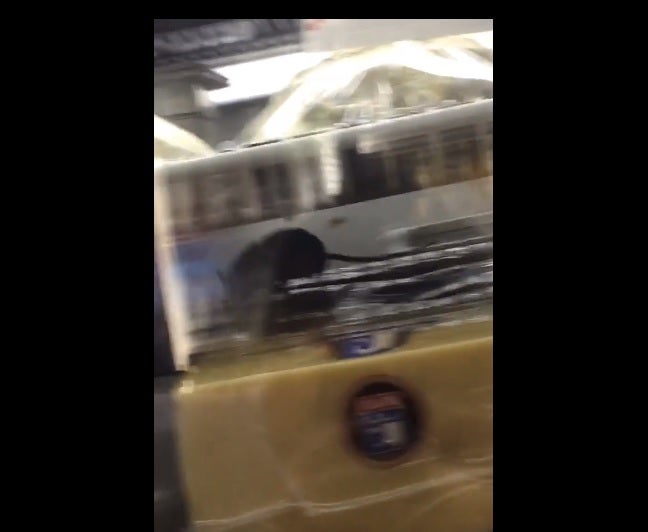 Un joven descubre una rata merodeando en la comida que le acaban de servir y lo denuncia a través de Facebook Un joven descubre una rata merodeando en la comida que le acaban de servir y lo denuncia a través de Facebook