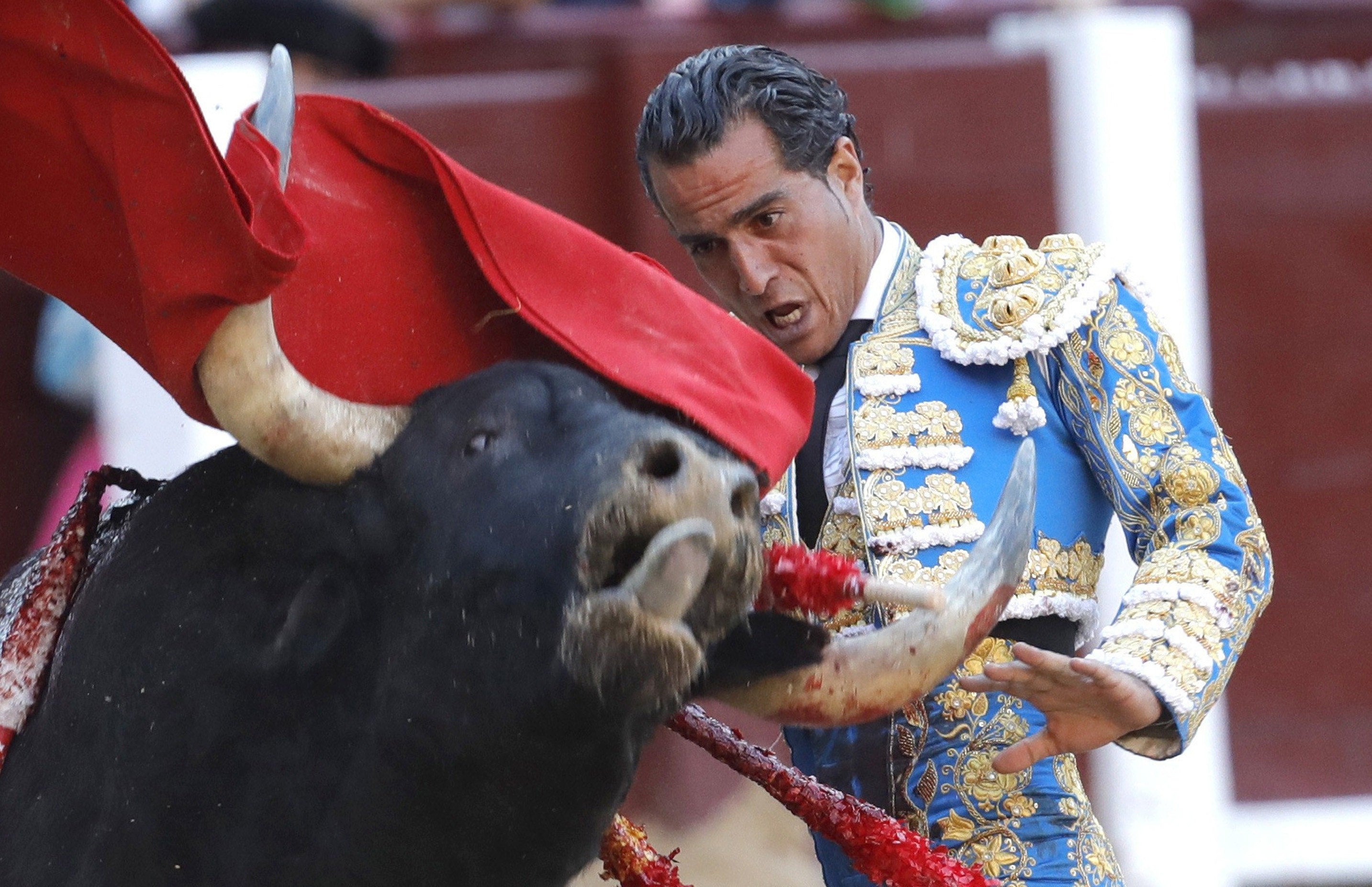 Rubén Amón indulta a Iván Fandiño: "A la muerte no la engaña la muleta más lúcida ni el capote más templado" Rubén Amón indulta a Iván Fandiño: "A la muerte no la engaña la muleta más lúcida ni el capote más templado"