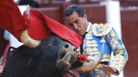 El torero Iván Fandiño El torero Iván Fandiño