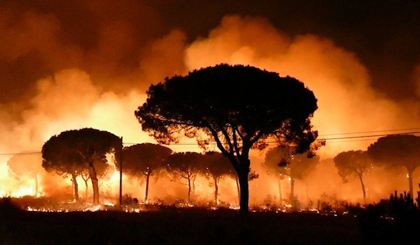 Incendios provocados Incendios provocados