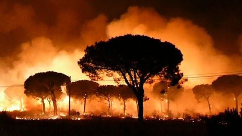 El incendio declarado en el paraje La Pe&ntilde;uela de Moguer (Huelva) 
