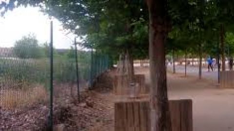 Huertos urbanos Isla del Colegio