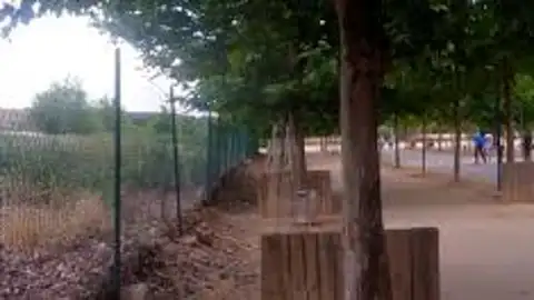 Huertos urbanos Huertos urbanos Isla del Colegio