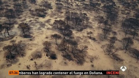 El incendio, a vista de dron