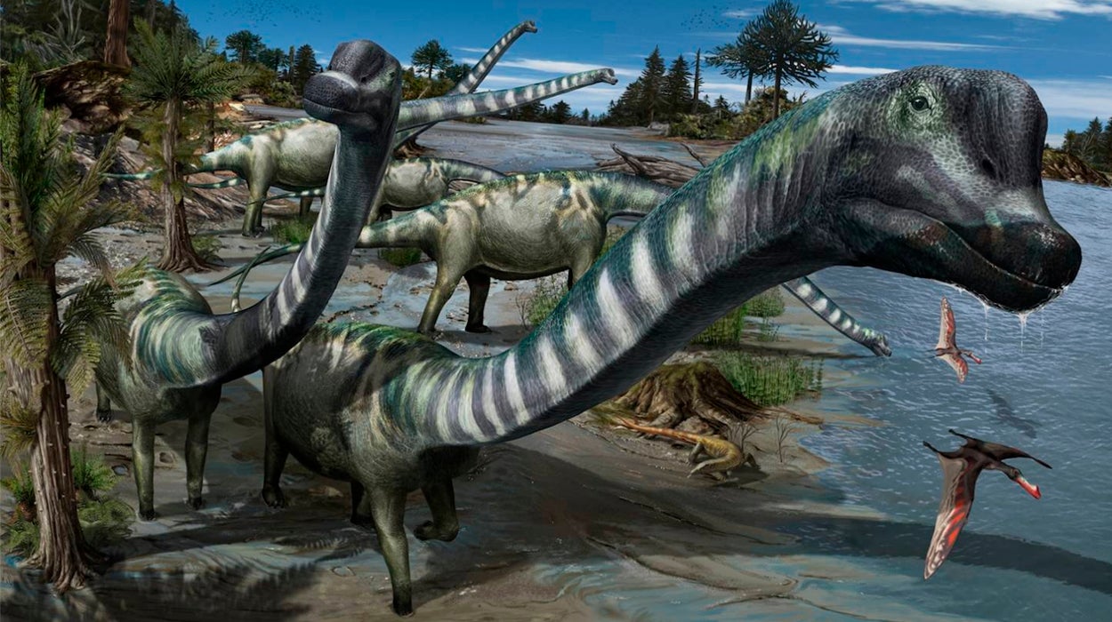 Descubren una nueva especie de dinosaurio "gigantesco" en la provincia de Burgos Descubren una nueva especie de dinosaurio "gigantesco" en la provincia de Burgos