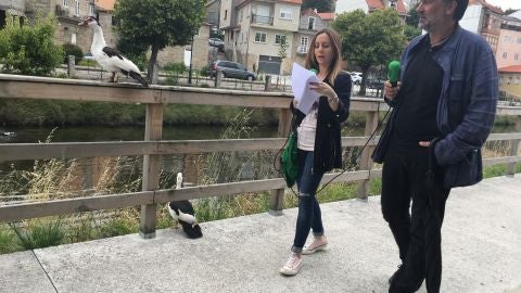 Los "Paseos de Onda Cero Pontevedra"