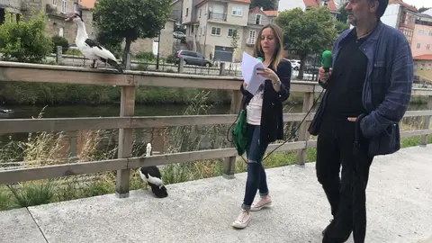 Demetrio Gomez en la Onda Los "Paseos de Onda Cero Pontevedra"