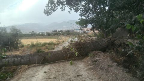 Fuerte vendaval deja una treintena de incidencias