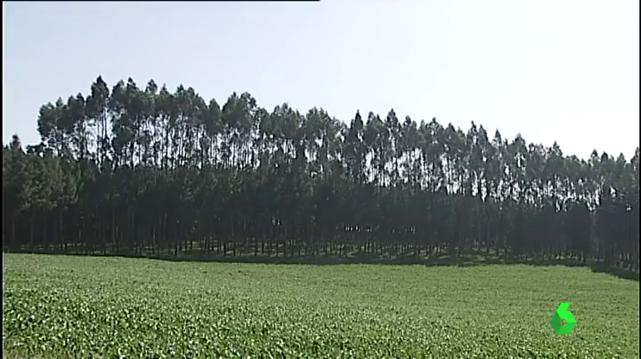 Noticias Mediodía Vigo 24/10/2017 Noticias Mediodía Vigo 24/10/2017