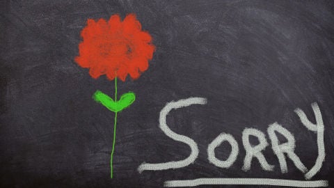Dibujo con la palabra 'sorry'