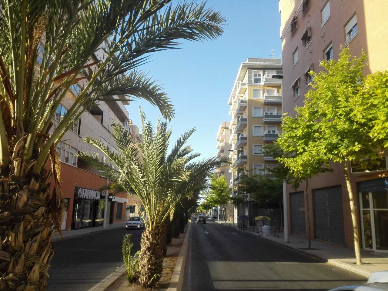 El fin de semana se asoma a la comarca del Baix Vinalopó con más sol que nubes El fin de semana se asoma a la comarca del Baix Vinalopó con más sol que nubes