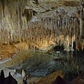 Cuevas Drach